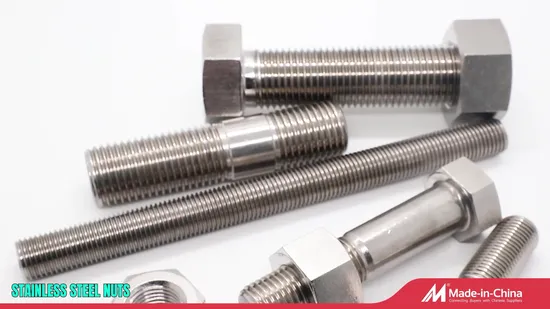 Bullone flangiato in acciaio inossidabile 304 316/Bullone a carrello/Bullone quadrato/Bullone passante/Ancoraggio a cuneo